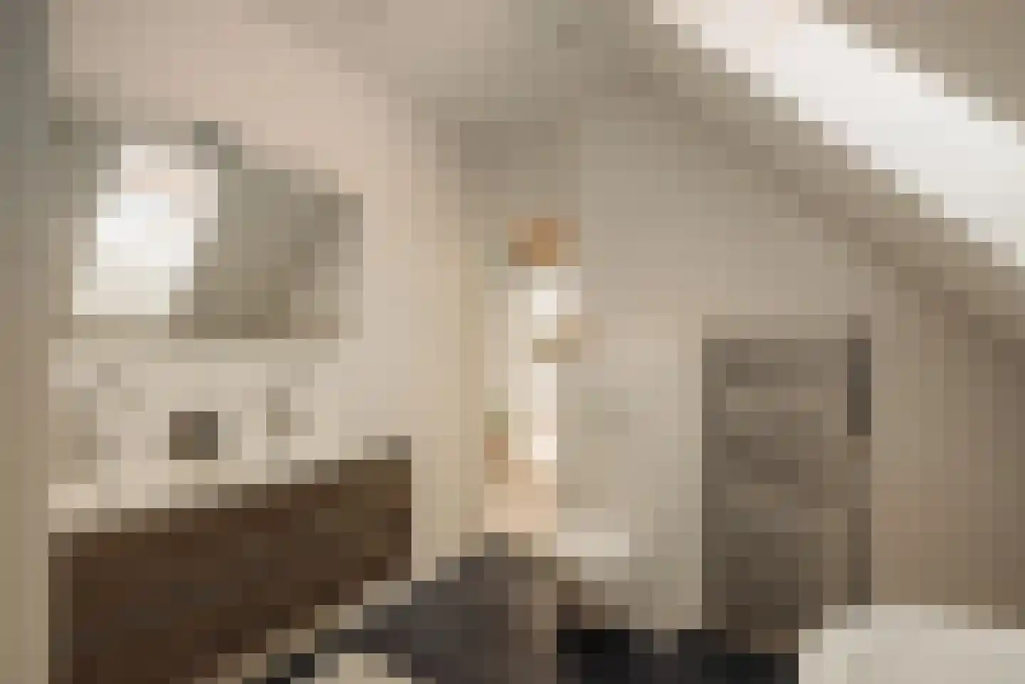 Gijsbrecht van Nijenrodestraat 152 Breukelen thumbnail 39