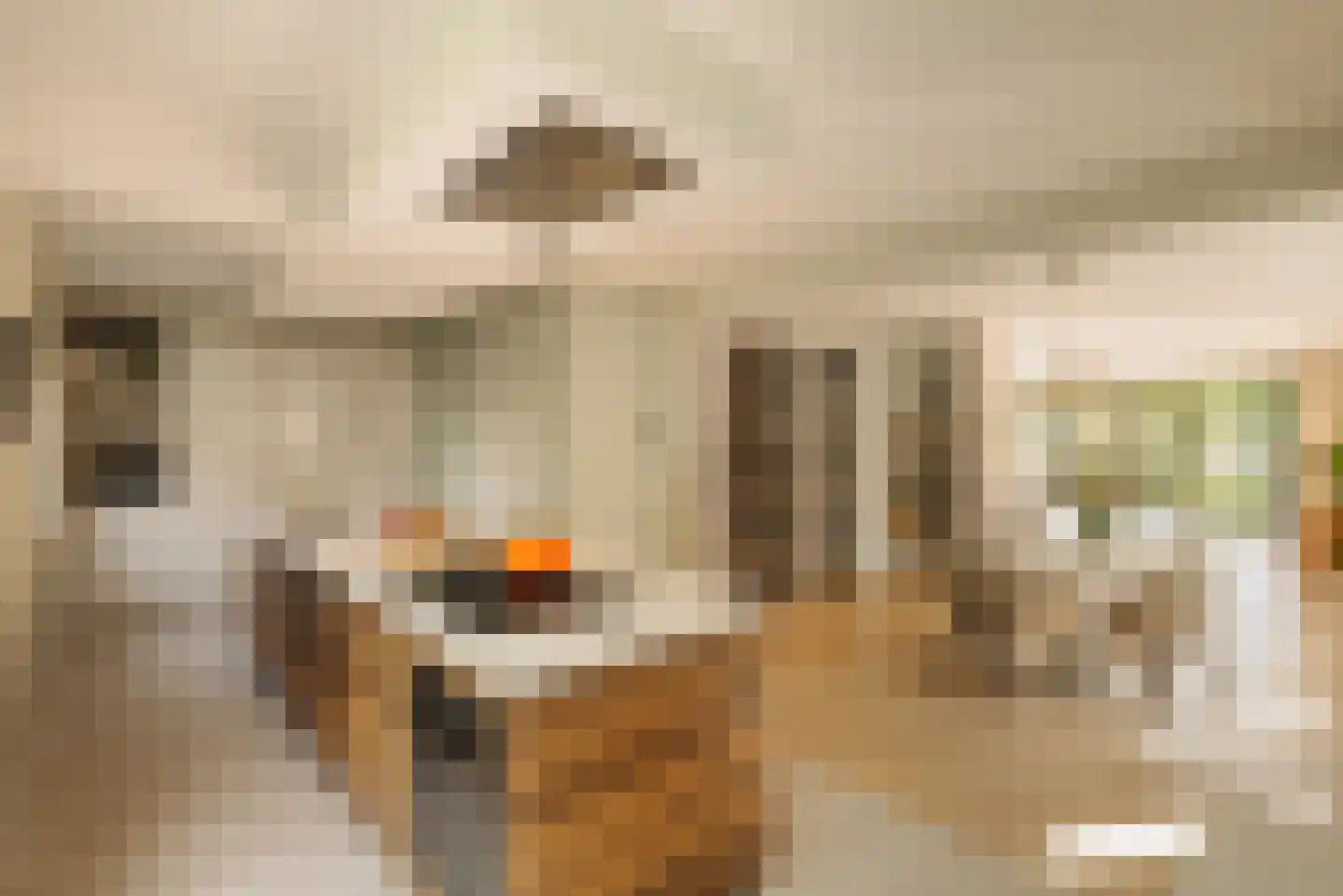 Gijsbrecht van Nijenrodestraat 152 Breukelen thumbnail 6
