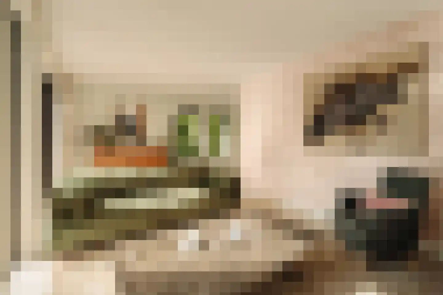 Gijsbrecht van Nijenrodestraat 152 Breukelen thumbnail 8