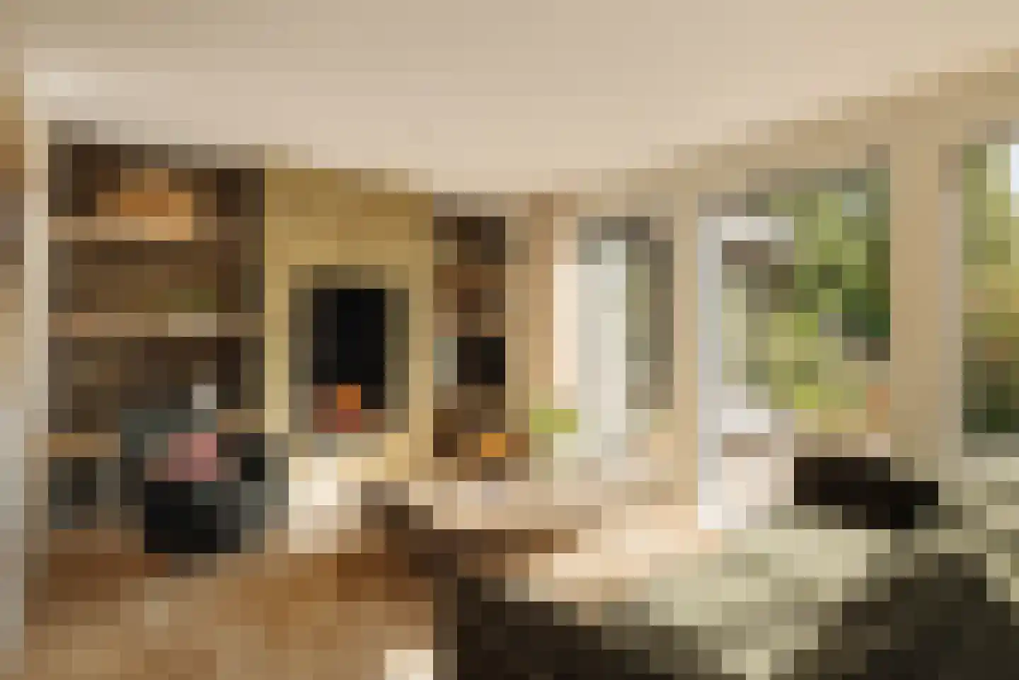 Gijsbrecht van Nijenrodestraat 152 Breukelen thumbnail 9