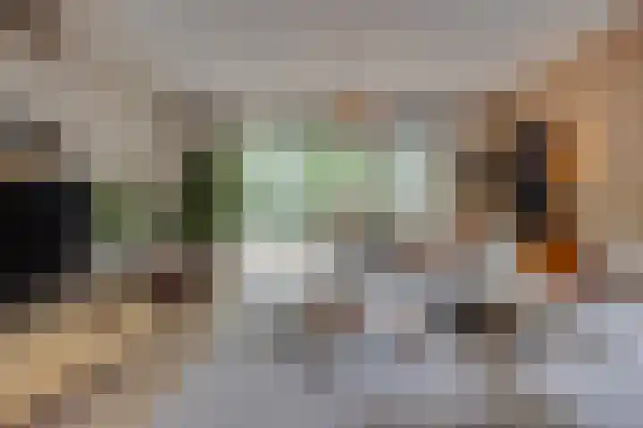 Gijsbrecht van Nijenrodestraat 18 Breukelen thumbnail 14