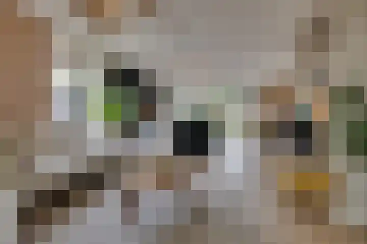 Gijsbrecht van Nijenrodestraat 18 Breukelen thumbnail 16
