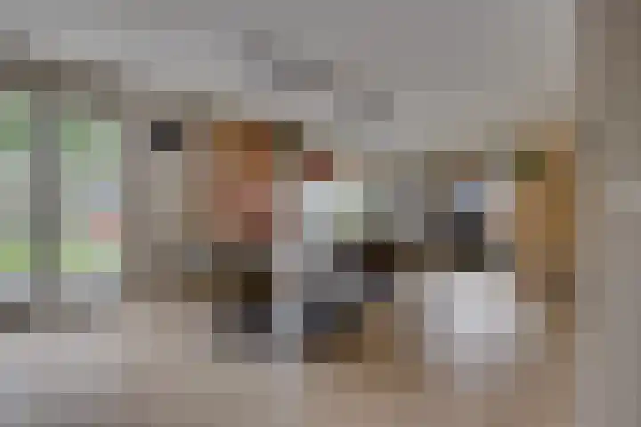 Gijsbrecht van Nijenrodestraat 18 Breukelen thumbnail 18