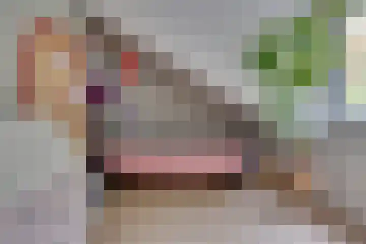 Gijsbrecht van Nijenrodestraat 18 Breukelen thumbnail 25