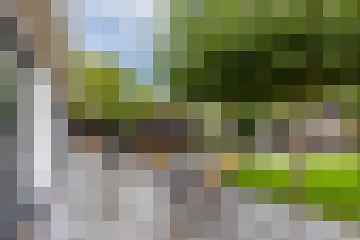 Gijsbrecht van Nijenrodestraat 18 Breukelen thumbnail 35