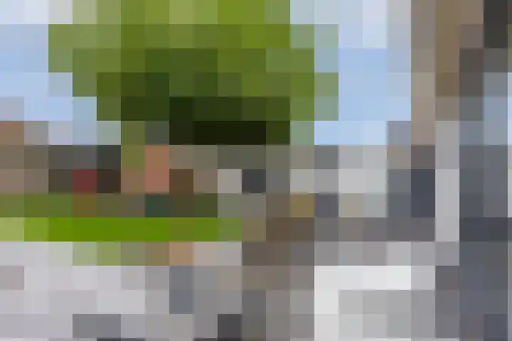 Gijsbrecht van Nijenrodestraat 18 Breukelen thumbnail 37