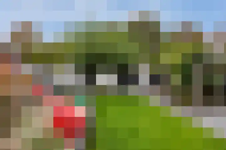 Gijsbrecht van Nijenrodestraat 18 Breukelen thumbnail 39