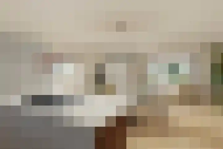 Gijsbrecht van Nijenrodestraat 50 a Breukelen thumbnail 17