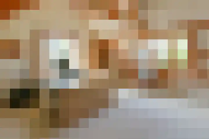 Gijsbrecht van Nijenrodestraat 50 a Breukelen thumbnail 20