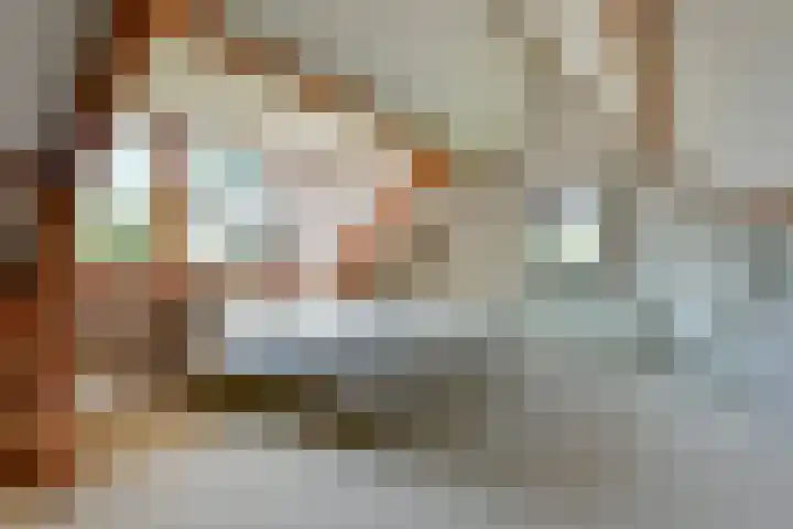 Gijsbrecht van Nijenrodestraat 50 a Breukelen thumbnail 21