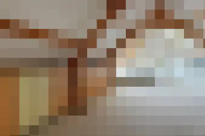 Gijsbrecht van Nijenrodestraat 50 a Breukelen thumbnail 22