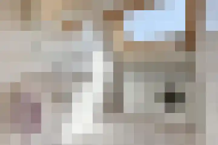 Gijsbrecht van Nijenrodestraat 50 a Breukelen thumbnail 24