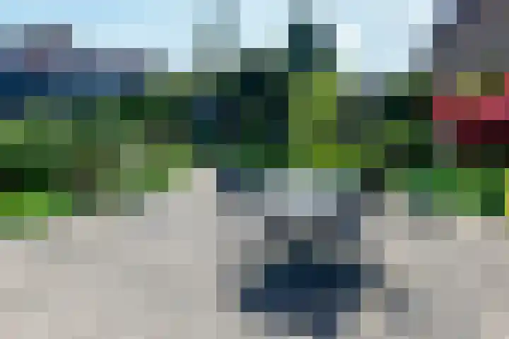 Gijsbrecht van Nijenrodestraat 50 a Breukelen thumbnail 29