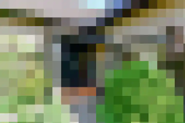 Gijsbrecht van Nijenrodestraat 50 a Breukelen thumbnail 4