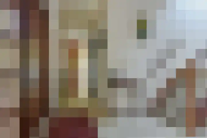 Gijsbrecht van Nijenrodestraat 50 a Breukelen thumbnail 5