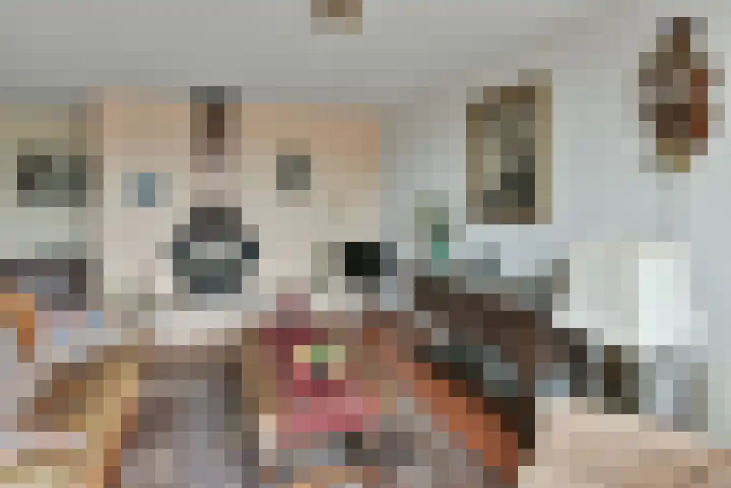 Gijsbrecht van Nijenrodestraat 6 a Breukelen thumbnail 11