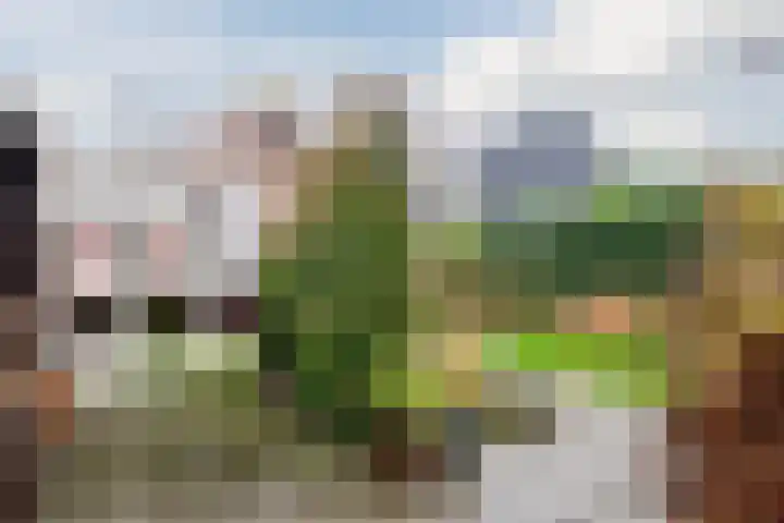 Gijsbrecht van Nijenrodestraat 68 Breukelen thumbnail 24