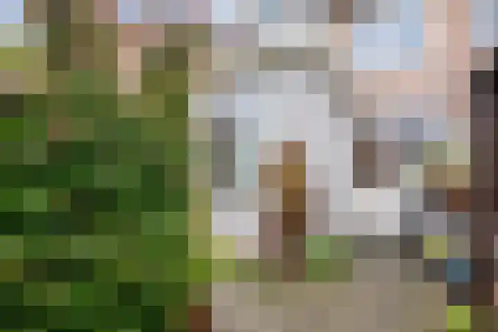 Gijsbrecht van Nijenrodestraat 68 Breukelen thumbnail 25