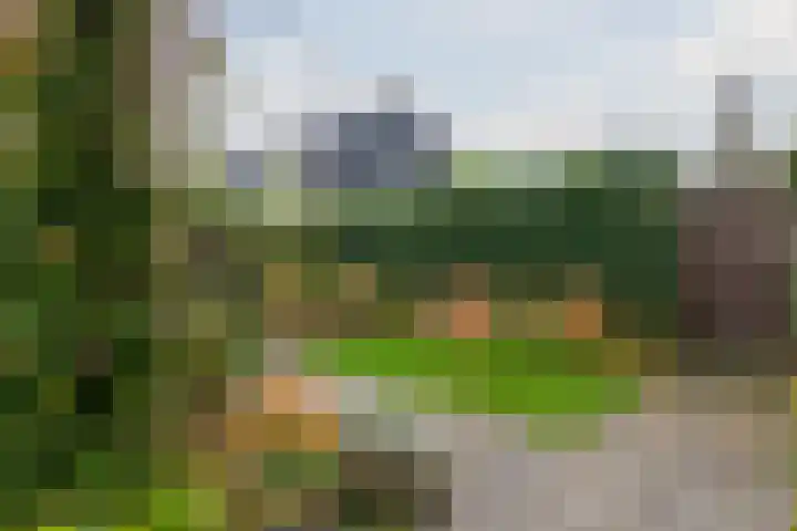 Gijsbrecht van Nijenrodestraat 68 Breukelen thumbnail 26