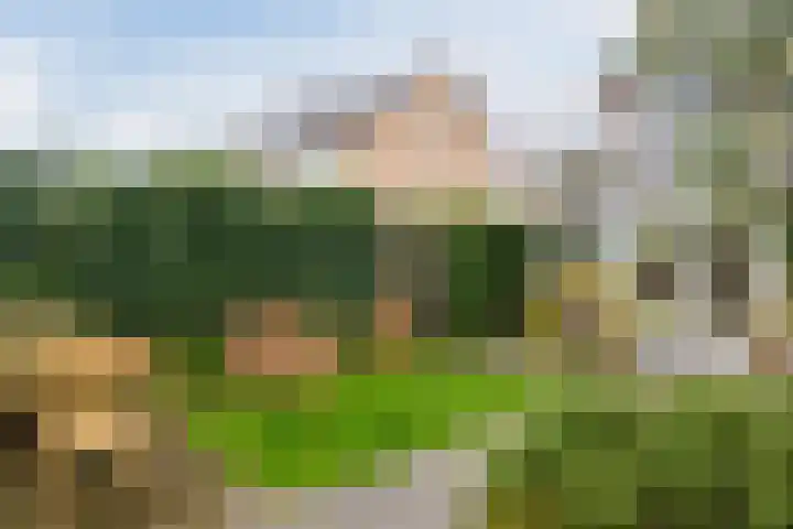 Gijsbrecht van Nijenrodestraat 68 Breukelen thumbnail 28