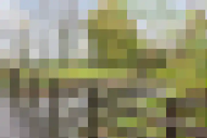 Gijsbrecht van Nijenrodestraat 68 Breukelen thumbnail 32