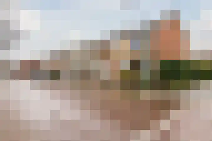 Gijsbrecht van Nijenrodestraat 68 Breukelen thumbnail 34