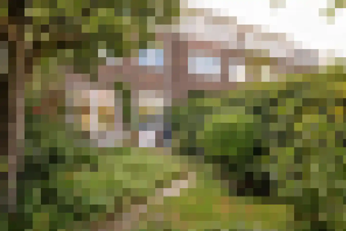 Gijsbrecht van Walenborchstraat 52 Utrecht thumbnail 11