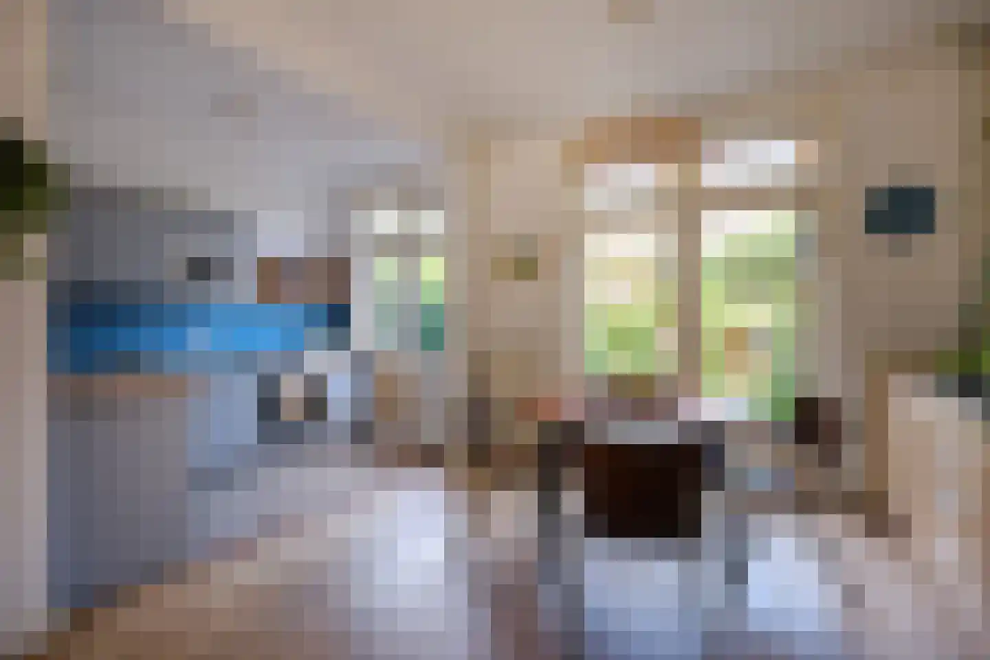 Gijsbrecht van Walenborchstraat 52 Utrecht thumbnail 6