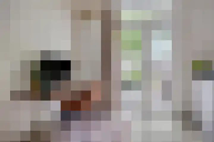 Gijsbrechtgaarde 212 Apeldoorn thumbnail 11