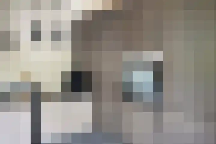 Gijsbrechtgaarde 212 Apeldoorn thumbnail 14