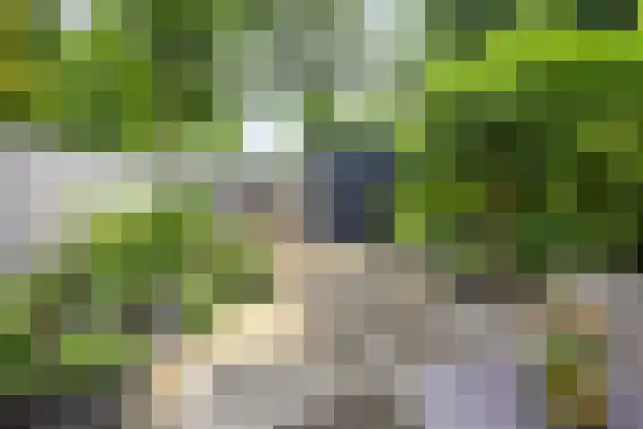 Gijsbrechtgaarde 212 Apeldoorn thumbnail 16