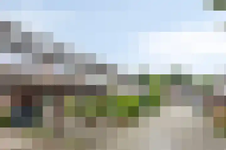 Gijsbrechtgaarde 212 Apeldoorn thumbnail 28