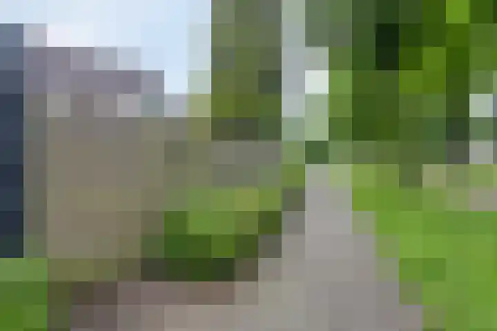 Gijsbrechtgaarde 212 Apeldoorn thumbnail 29