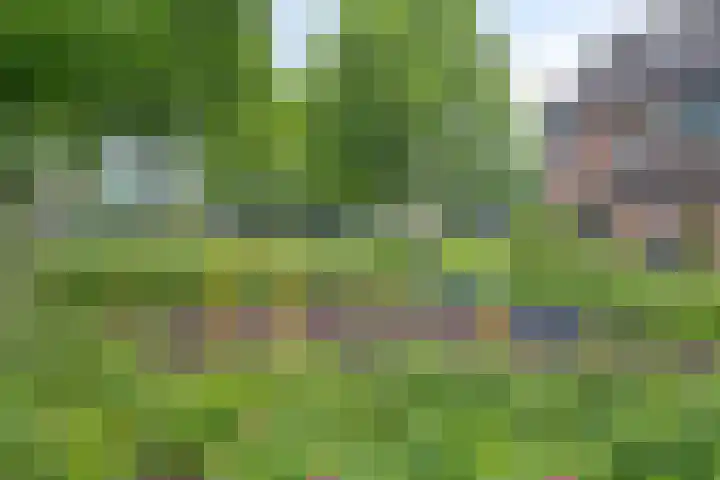 Gijsbrechtgaarde 212 Apeldoorn thumbnail 30