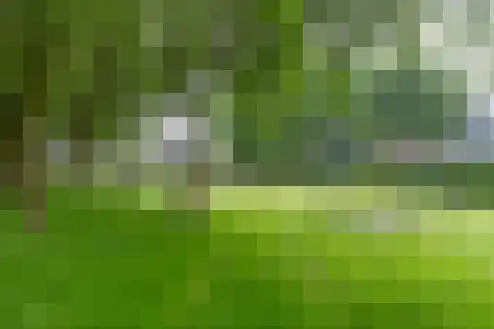 Gijsbrechtgaarde 212 Apeldoorn thumbnail 31