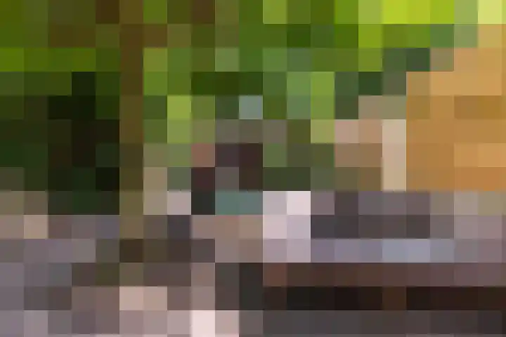 Gijsbrechtgaarde 213 Apeldoorn thumbnail 12