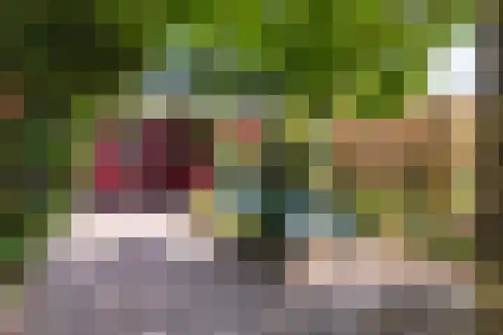 Gijsbrechtgaarde 213 Apeldoorn thumbnail 13