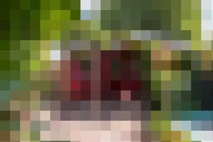 Gijsbrechtgaarde 213 Apeldoorn thumbnail 14