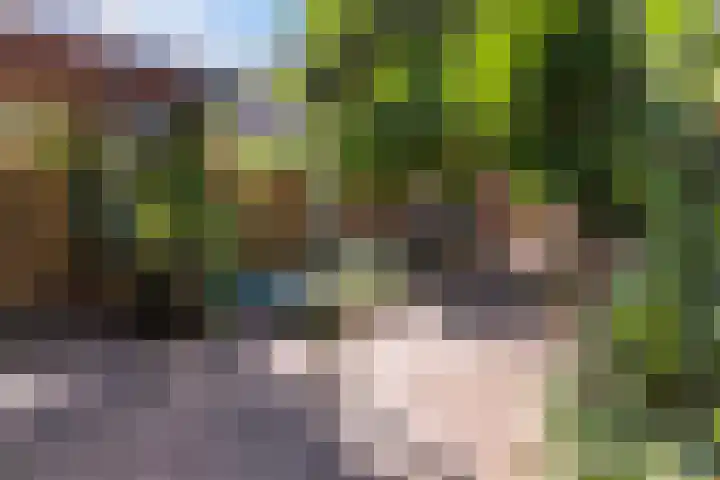 Gijsbrechtgaarde 213 Apeldoorn thumbnail 15