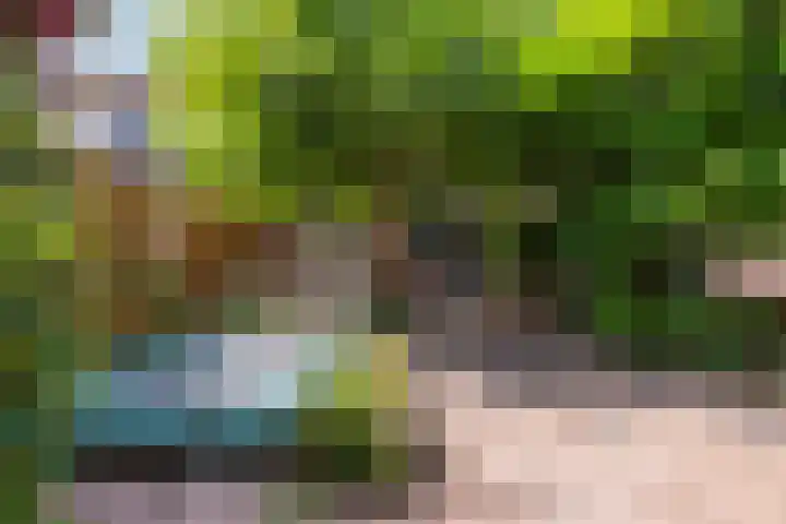 Gijsbrechtgaarde 213 Apeldoorn thumbnail 16