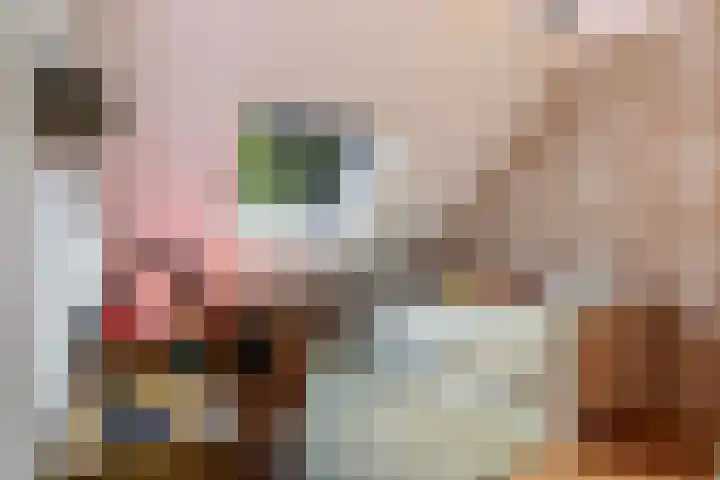 Gijsbrechtgaarde 213 Apeldoorn thumbnail 27