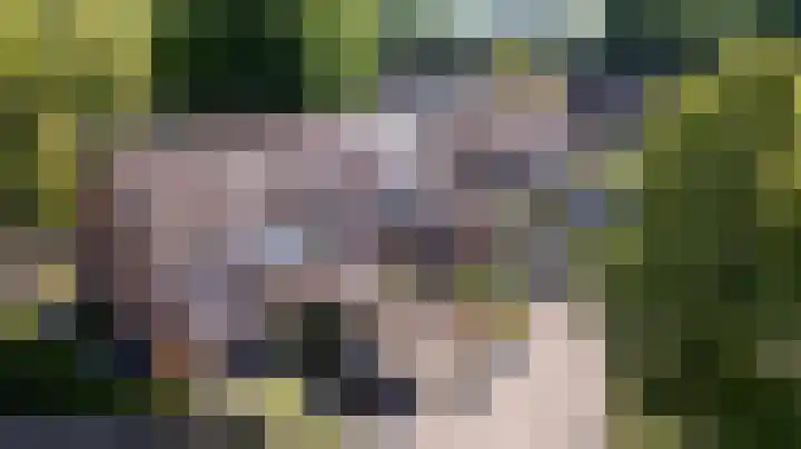 Gijsbrechtgaarde 213 Apeldoorn thumbnail 31