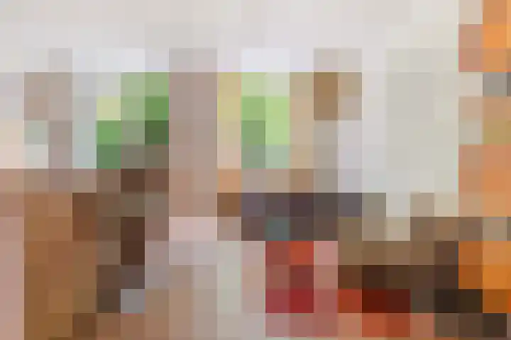 Gijsbrechtgaarde 213 Apeldoorn thumbnail 9