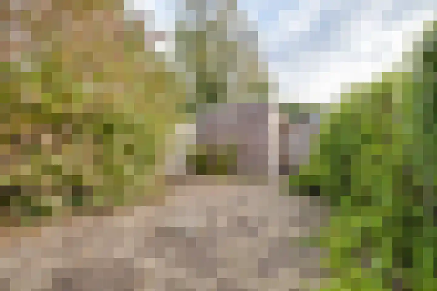 Gijsbrechtgaarde 238 Apeldoorn thumbnail 28