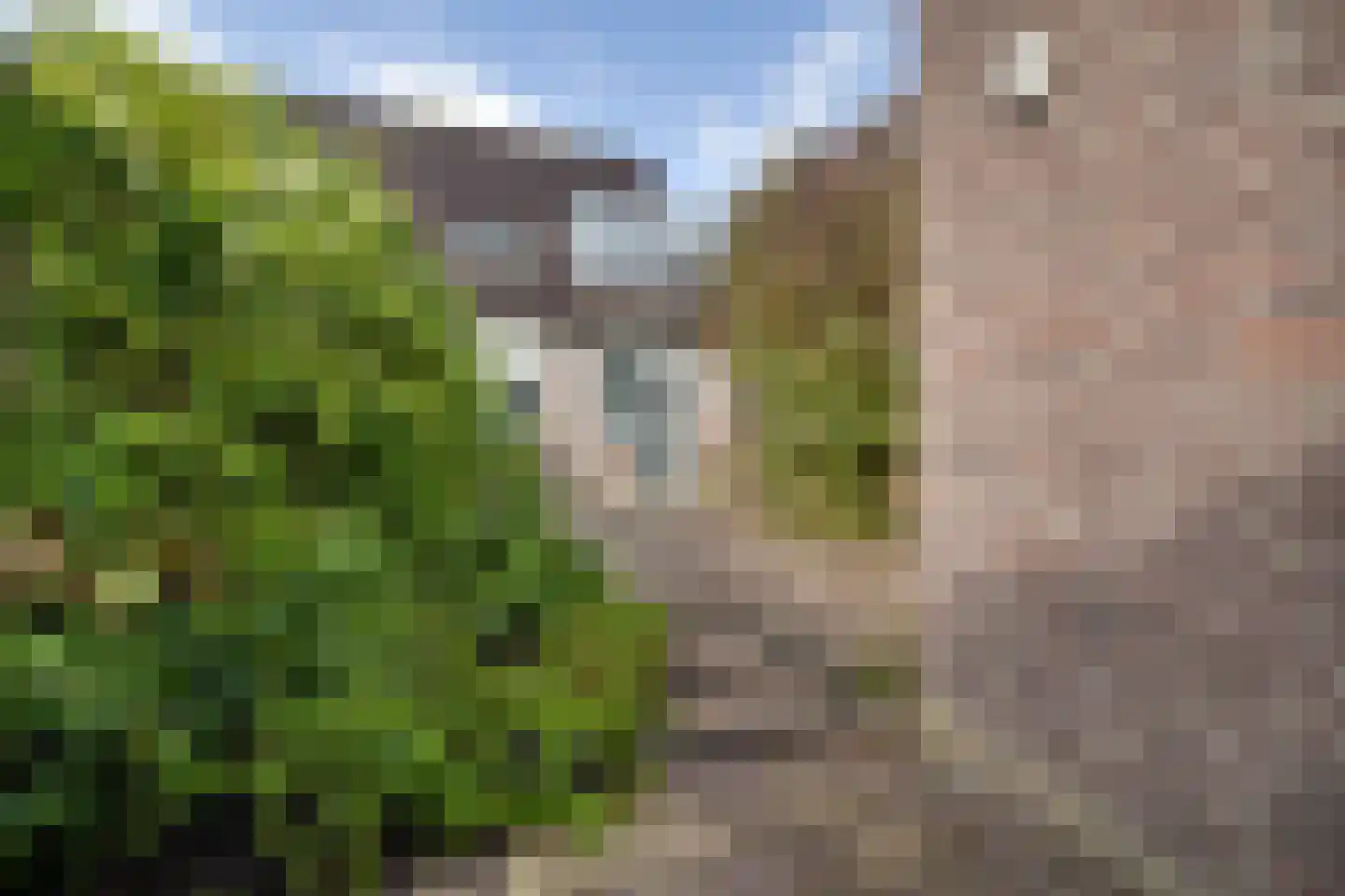 Gijsbrechtgaarde 238 Apeldoorn thumbnail 31