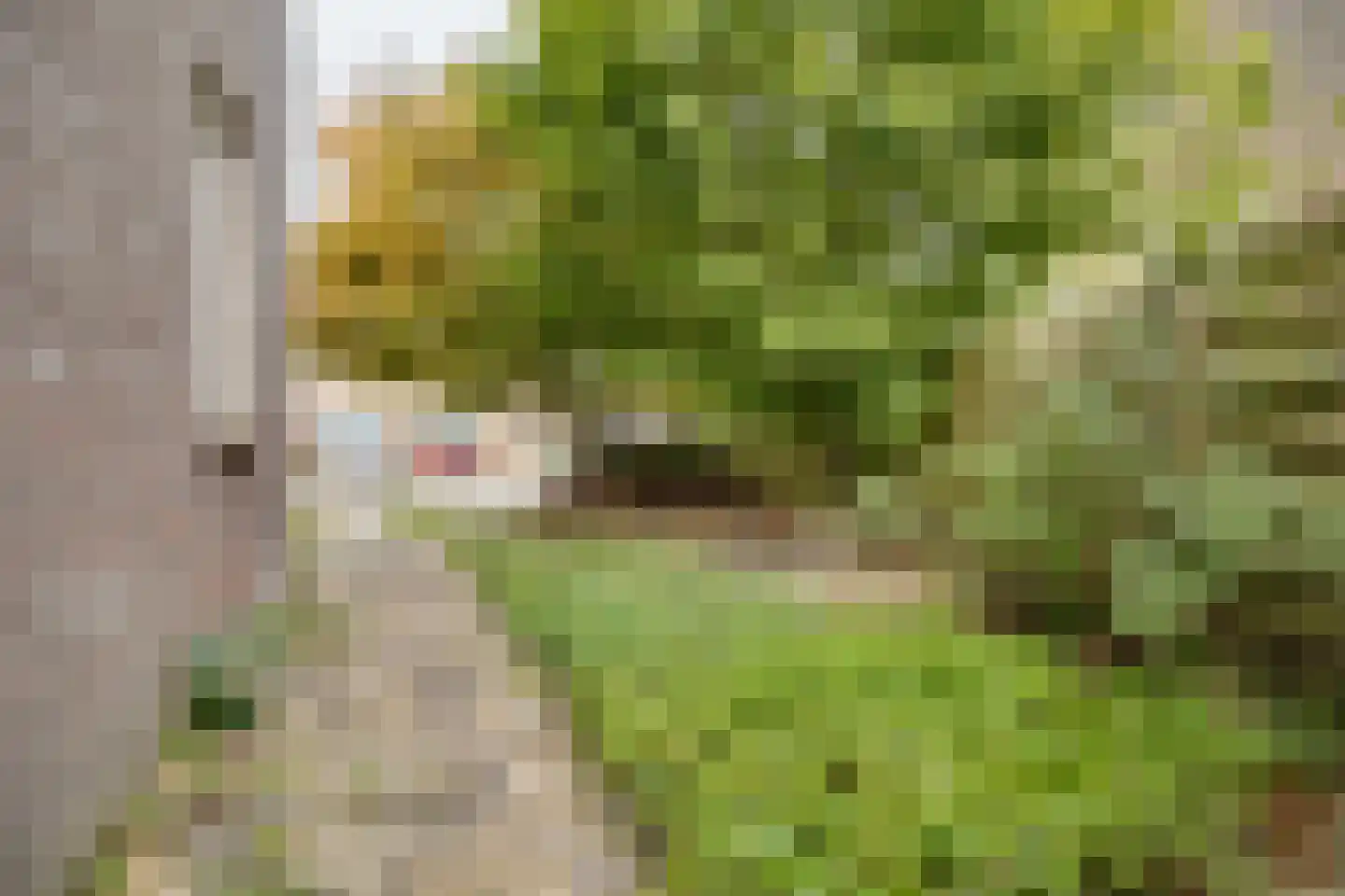 Gijsbrechtgaarde 238 Apeldoorn thumbnail 33