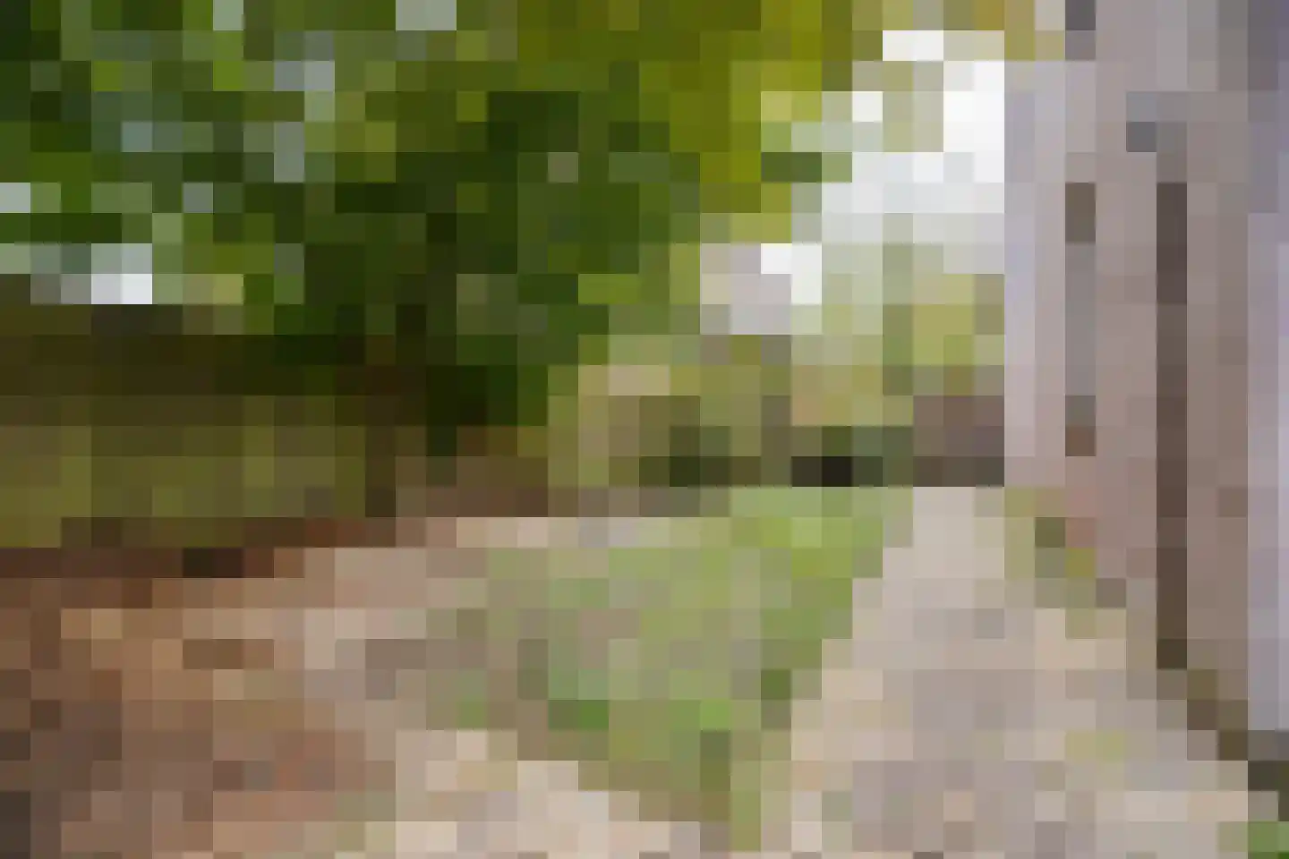 Gijsbrechtgaarde 238 Apeldoorn thumbnail 34