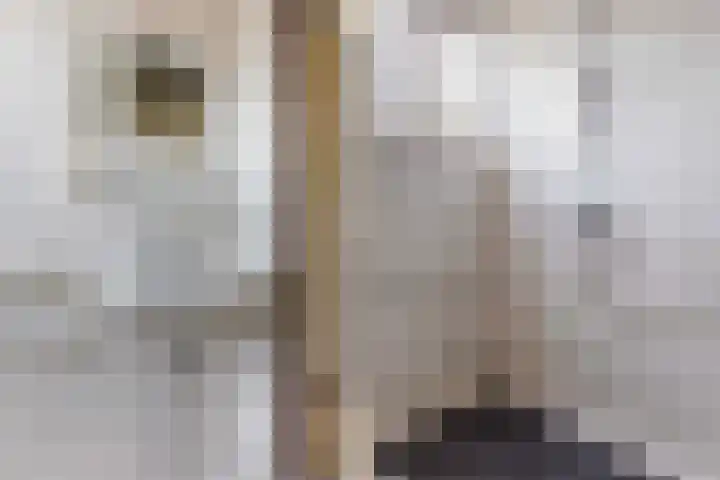 Gijsbrechtgaarde 242 Apeldoorn thumbnail 17