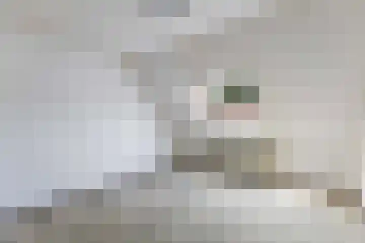 Gijsbrechtgaarde 242 Apeldoorn thumbnail 21