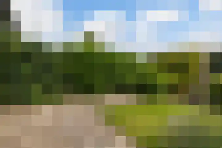 Gijsbrechtgaarde 242 Apeldoorn thumbnail 23